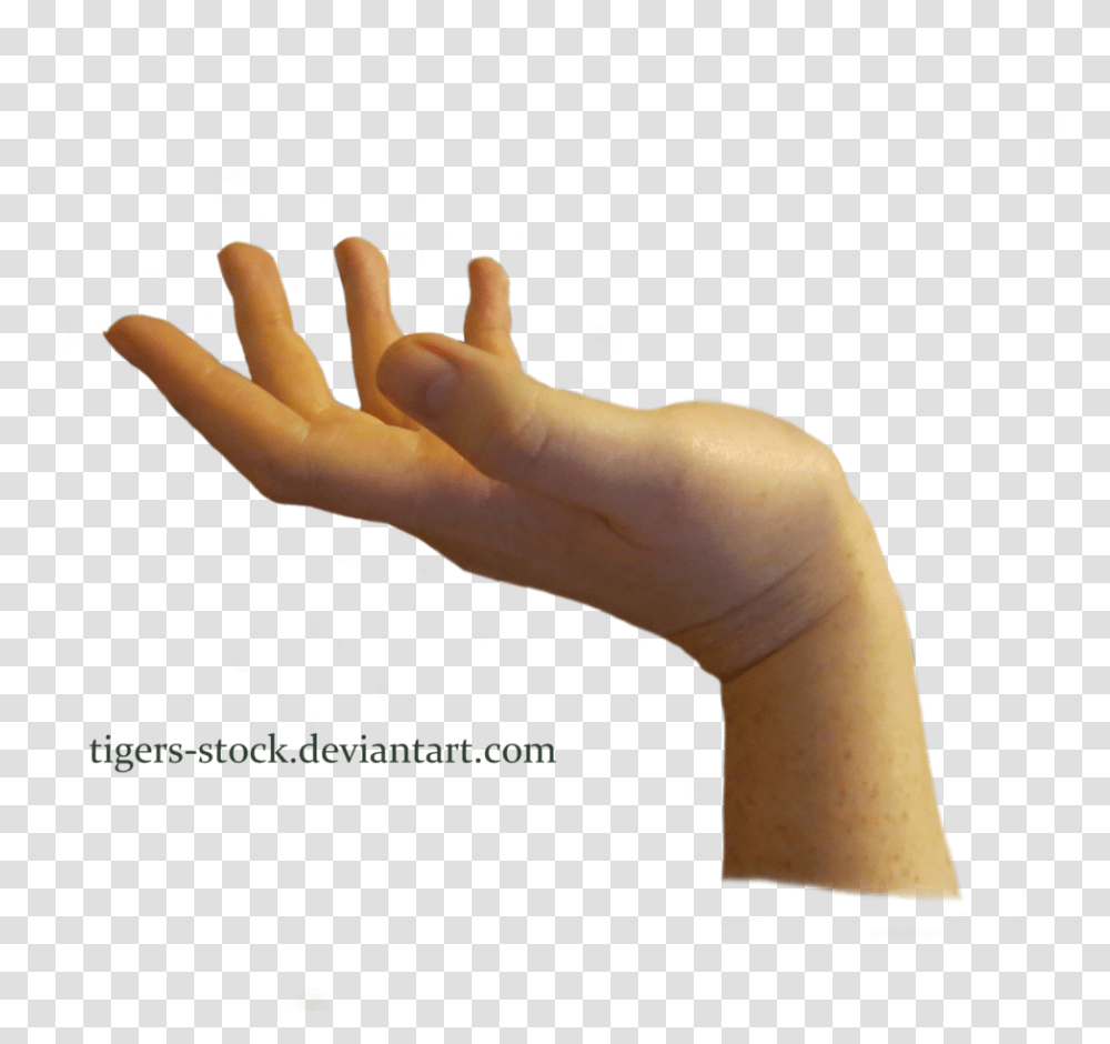 Hand Download Image Statue Hand, Person, Human, Wrist, Finger Transparent Png