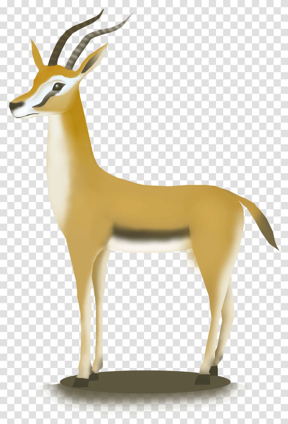 Hand Drawn African Antelope Hd Animal, Wildlife, Mammal, Gazelle, Impala Transparent Png