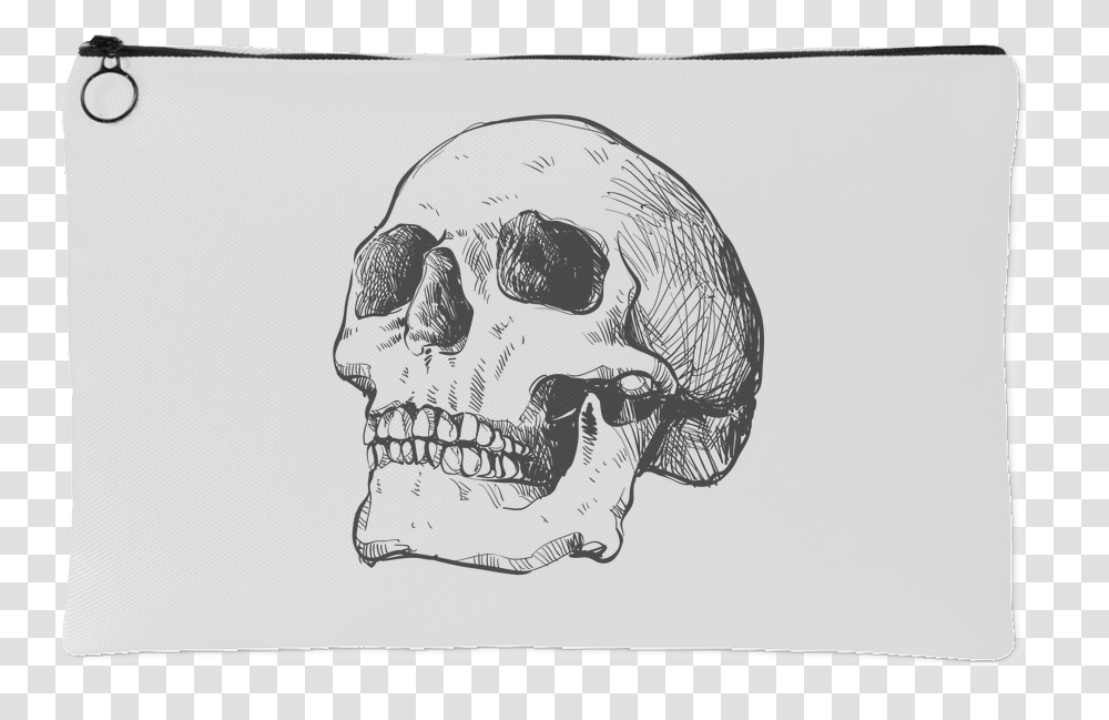 Hand Drawn Anatomical Human Skull, Drawing, Bird, Animal Transparent Png