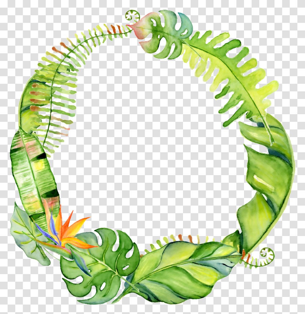 Hand Drawn Circle Leaves Circle Background, Green, Plant, Wreath, Person Transparent Png