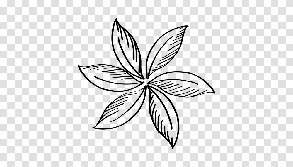 Hand Drawn Flower, Leaf, Plant, Green, Pattern Transparent Png