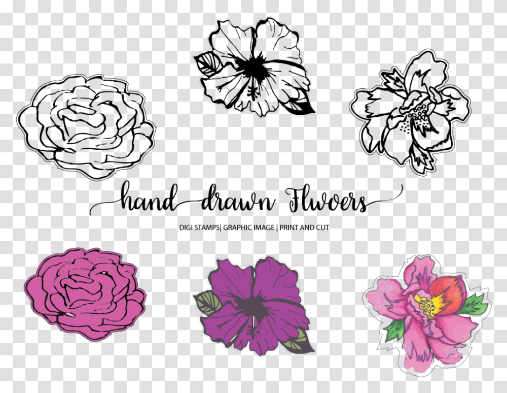 Hand Drawn Flowers Example Image Line Art, Purple, Plant, Floral Design Transparent Png