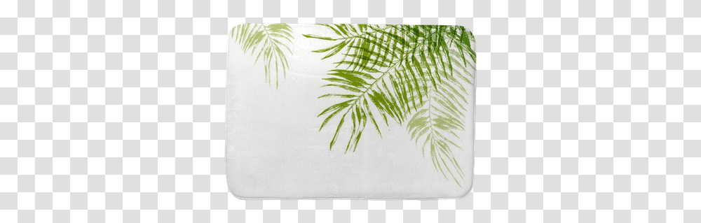 Hand Drawn Palm Tree Leaves Bath Mat • Pixers We Live To Change Background, Plant, Leaf, Grass, Screen Transparent Png