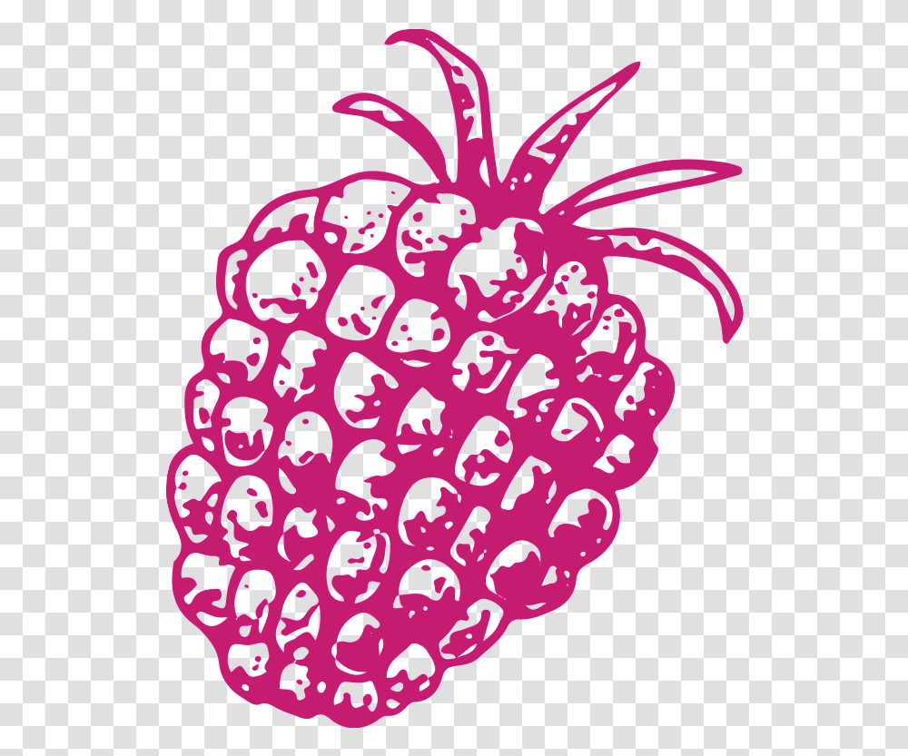 Hand Drawn Pineapple Vegetables, Plant, Raspberry, Fruit, Food Transparent Png