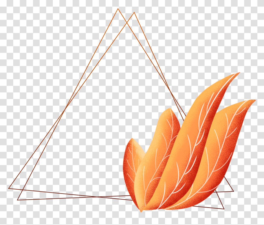 Hand Drawn Plants Borders Coral Orange Leaves And Illustration, Bow, Fire, Flame, Lantern Transparent Png