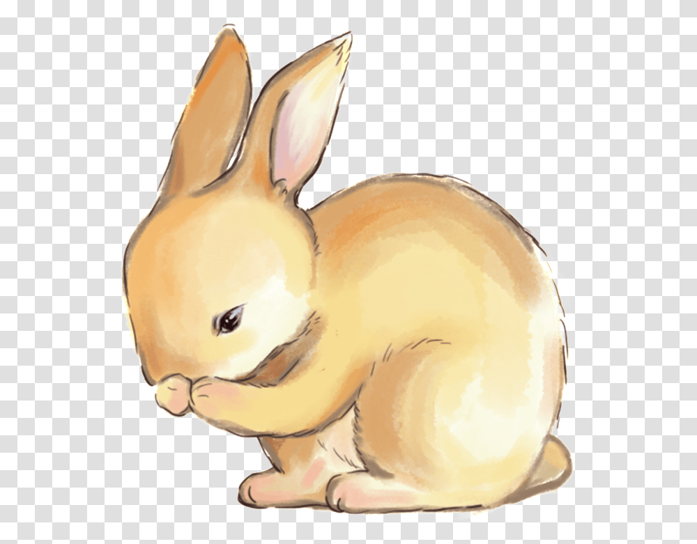 Hand Drawn Rabbit Hare, Rodent, Mammal, Animal, Bunny Transparent Png
