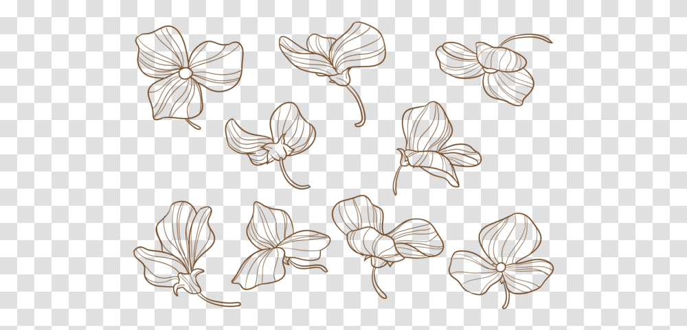 Hand Drawn Sweet Pea Flowers Stock Images Sweet Pea Flower Vector, Pattern, Rug, Embroidery, Floral Design Transparent Png