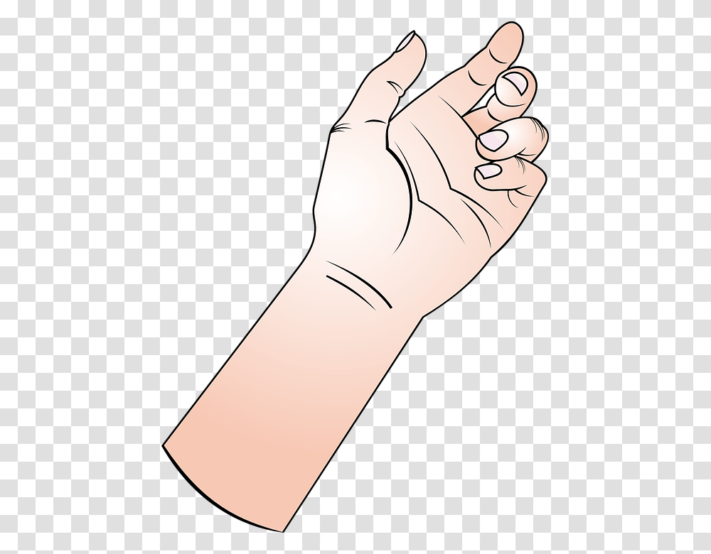 Hand Fingers Forearm Arm Thumb Finger Human Hand Holding Something Cartoon, Fist, Wrist Transparent Png