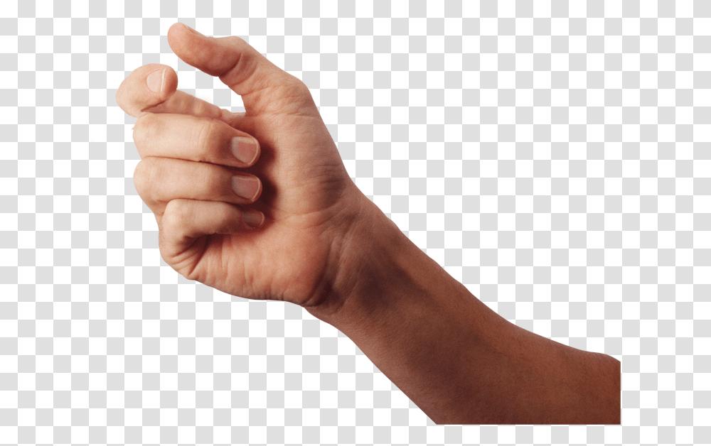 Hand Free Hand, Person, Human, Wrist, Finger Transparent Png