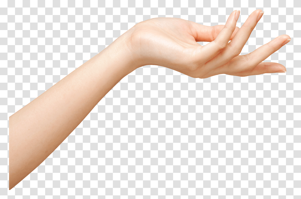 Hand Girls Hand, Wrist, Person, Human, Finger Transparent Png