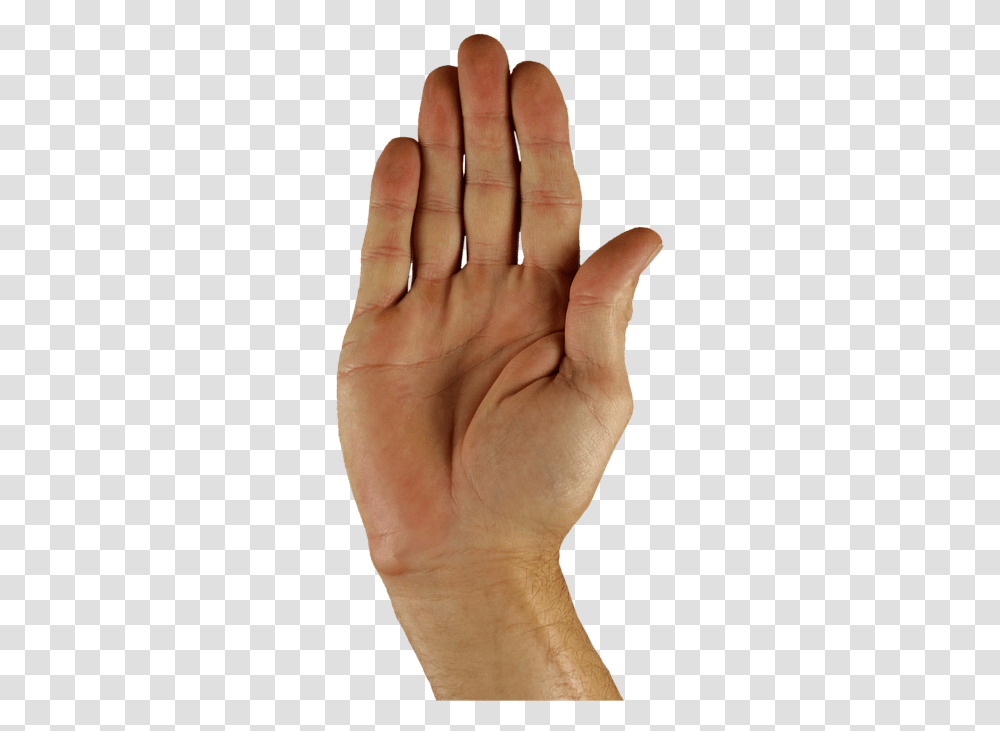 Hand Halt, Person, Human, Finger, Wrist Transparent Png