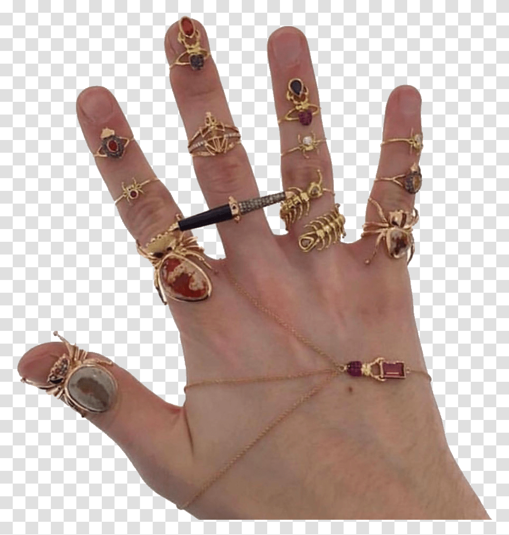 Hand Hands Jewelry Rings Bugs Pngs Aesthetic Hand With Rings, Person, Human, Finger Transparent Png