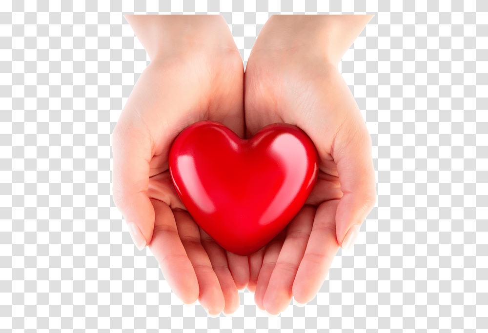 Hand Heart Heart In Hand, Person, Human, Finger, Pillow Transparent Png