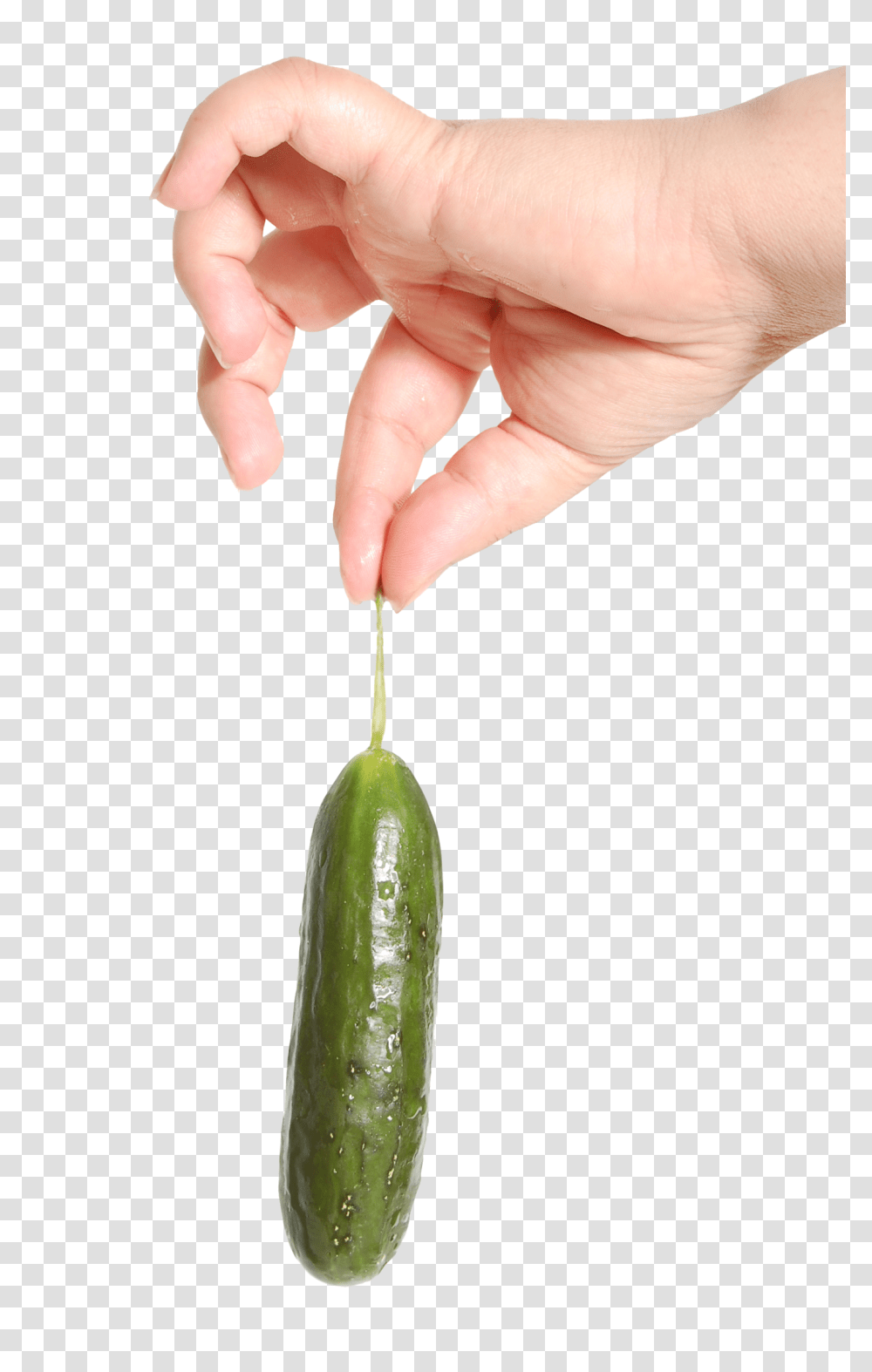 Hand Holding Cucumber Image, Fruit, Plant, Person, Human Transparent Png