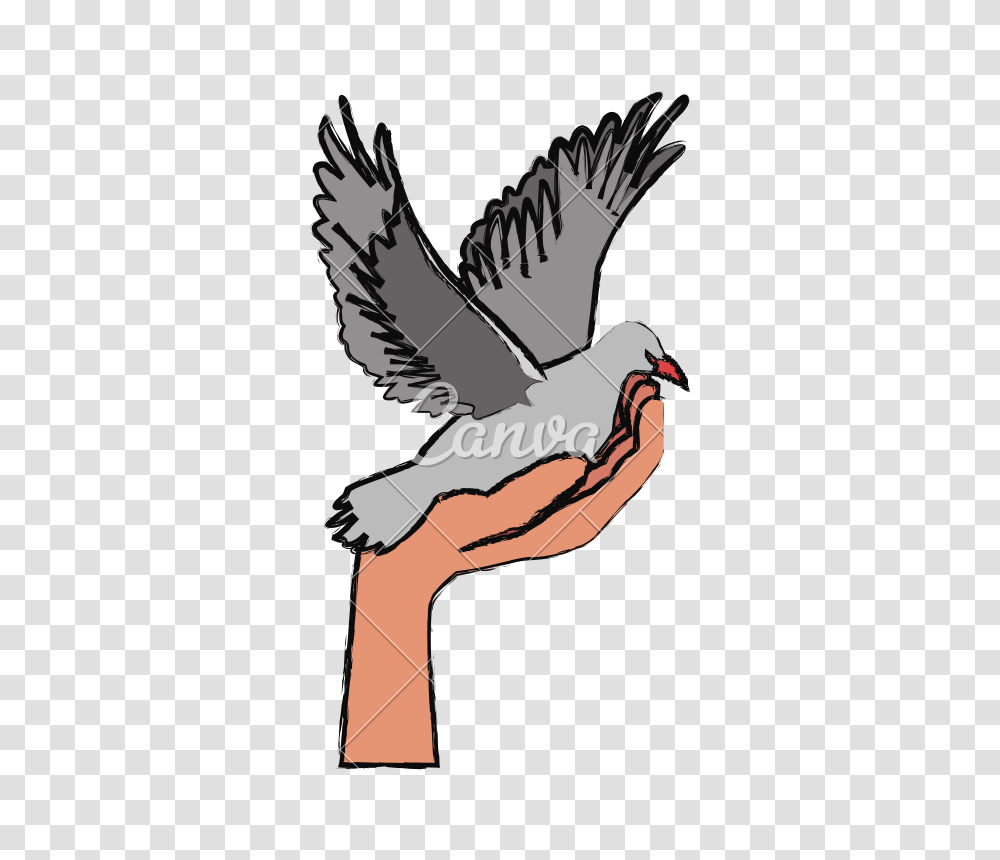 Hand Holding Dove Flying International Day Of Peace, Bird, Animal, Quail, Finch Transparent Png