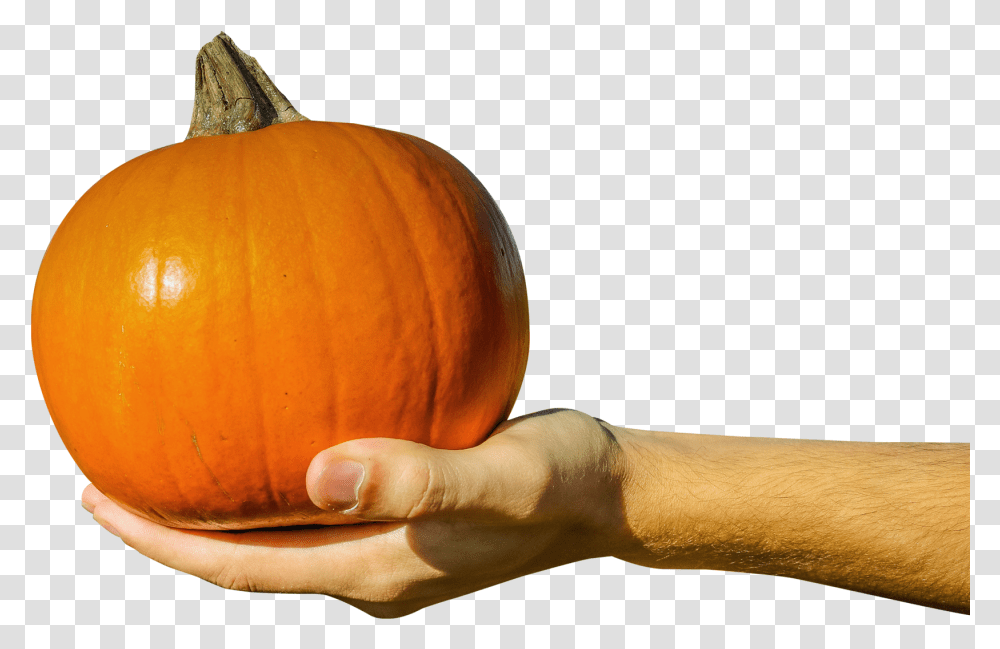 Hand Holding Orange Pumpkin Image Pngpix Holding Pumpkin, Plant, Vegetable, Food, Produce Transparent Png