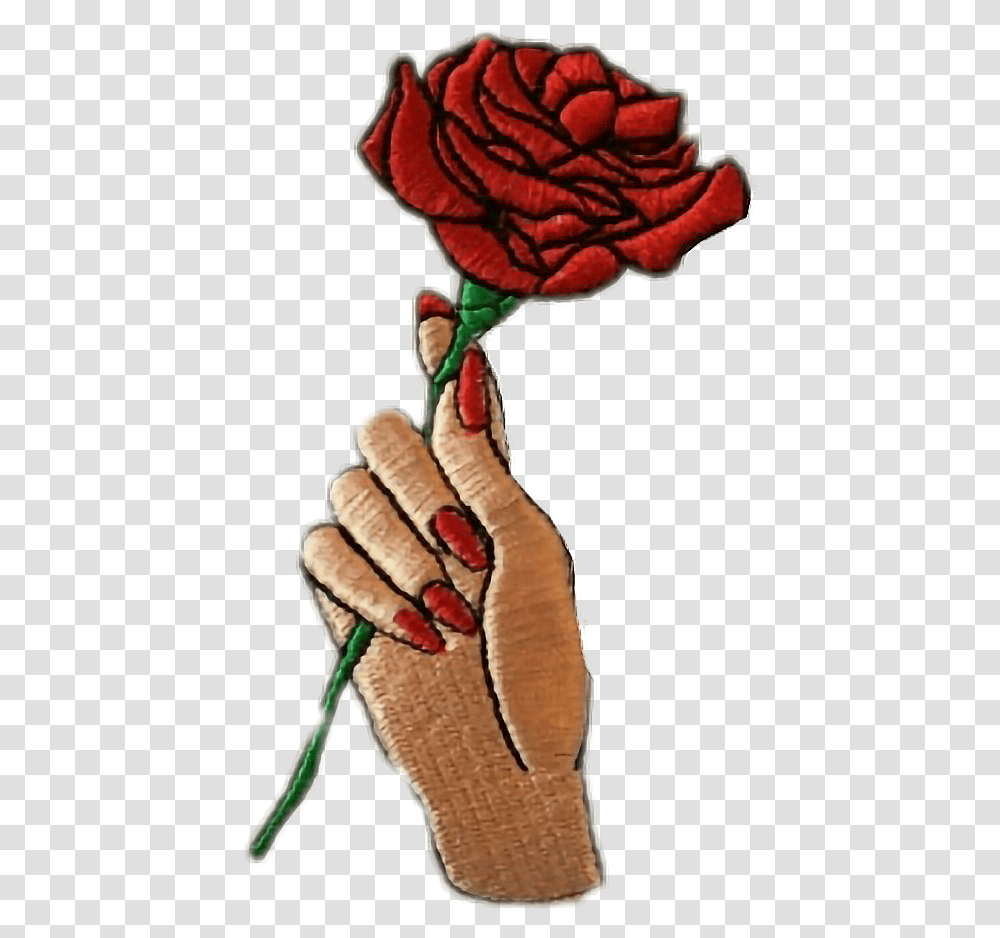 Hand Holding Rose Drawing, Plant, Flower, Finger, Person Transparent Png