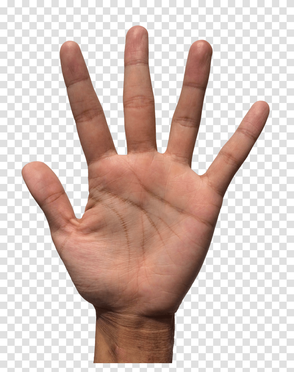 Hand Holding Smartphone Image, Wrist, Person, Human, Finger Transparent Png
