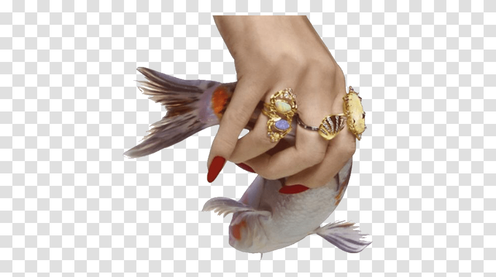 Hand I Think I Like The Aesthetic Tags Aesthetic Feathers, Person, Human, Finger, Accessories Transparent Png