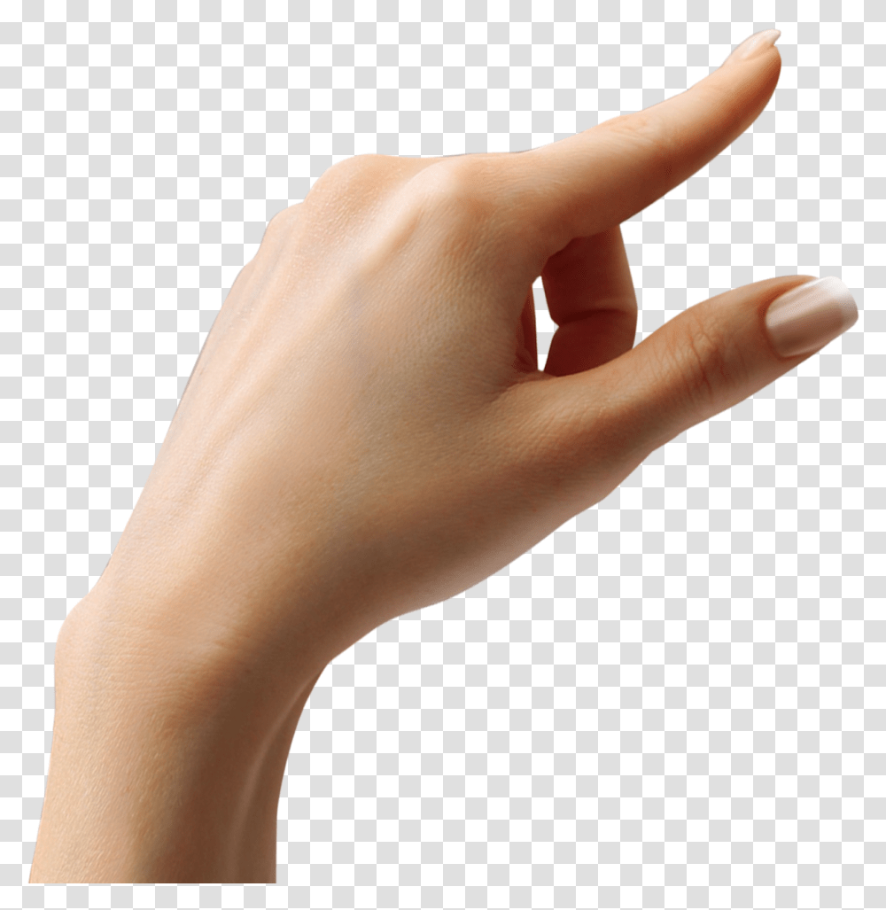 Hand Image Free Download Searchpng Hand Tap, Person, Human, Wrist, Finger Transparent Png