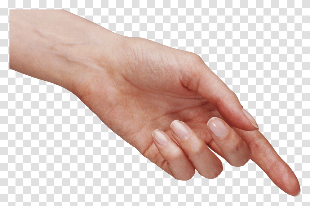 Hand Image With No Background Hand Transparent Png