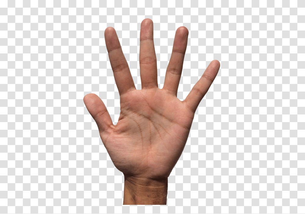 Hand Image, Wrist, Person, Human, Finger Transparent Png