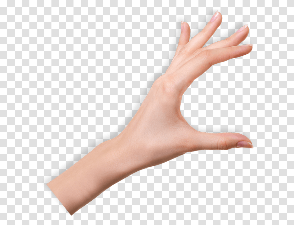 Hand Images Hd, Person, Human, Wrist, Skin Transparent Png