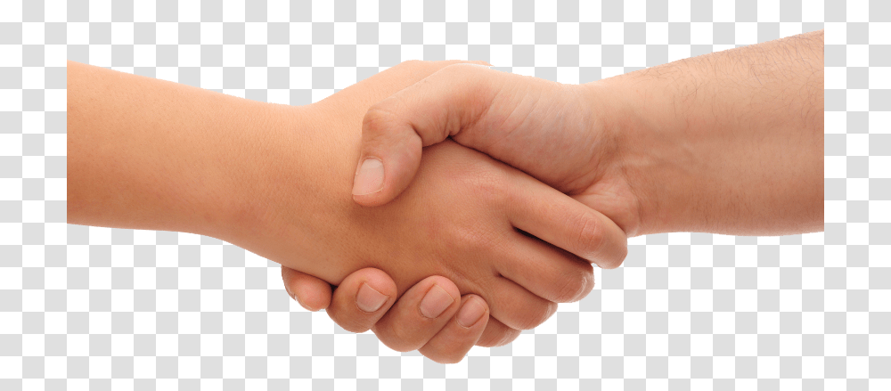 Hand In Hand, Person, Human, Handshake, Wrist Transparent Png