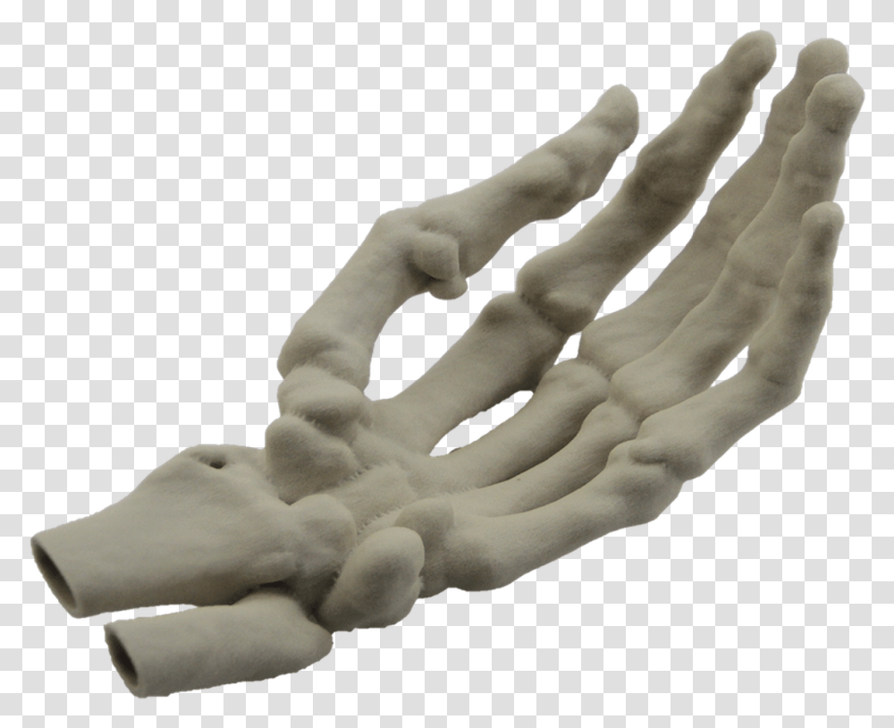 Hand Model Finger Human Skeleton 3d Printed Skeleton Hand, Sculpture, Figurine, Porcelain Transparent Png