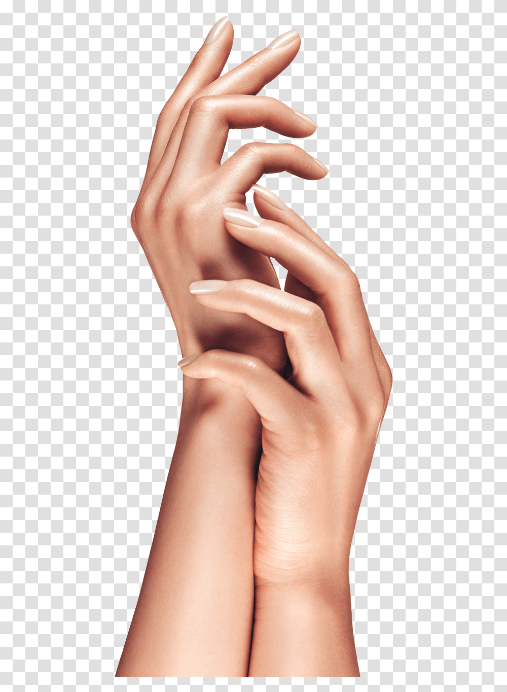 Hand Model, Person, Human, Skin, Finger Transparent Png