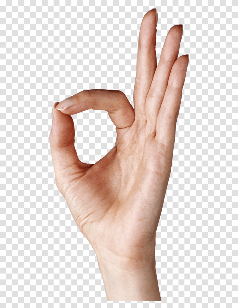 Hand O Hand Sign, Person, Human, Finger, Skin Transparent Png