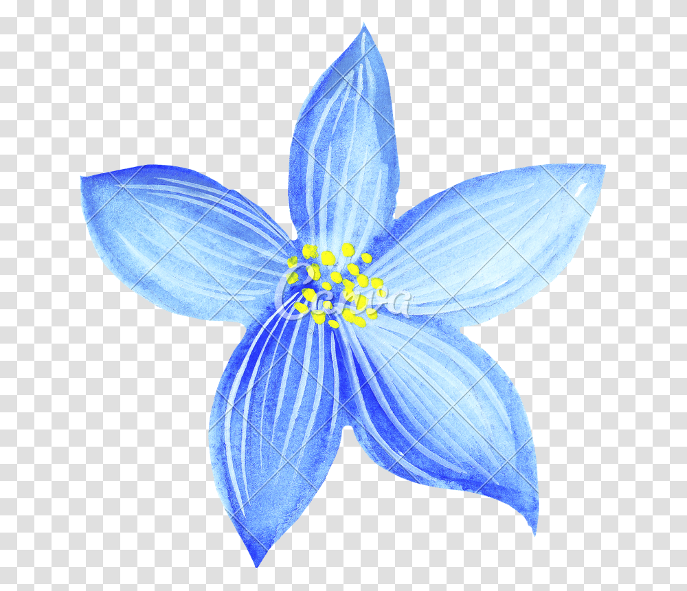 Hand Of Blue Flowers Blue Flower Drawing, Plant, Blossom, Petal, Pond Lily Transparent Png