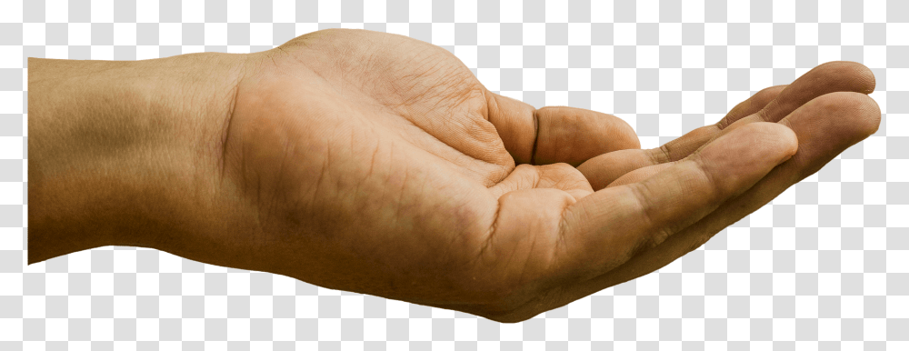 Hand Out To Receive Money Hand Begging, Person, Human, Finger, Skin Transparent Png