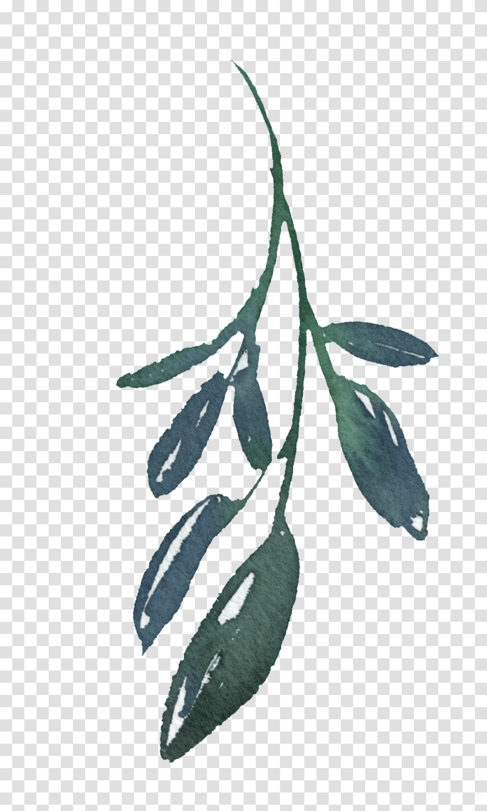 Hand Painted A Bamboo Leaf Free Download, Nature, Floral Design Transparent Png