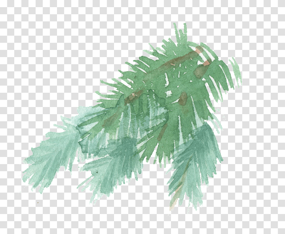 Hand Painted A Few Pine Tree Branches Pine Tree Stem Watercolor, Leaf, Plant, Crystal, Weed Transparent Png