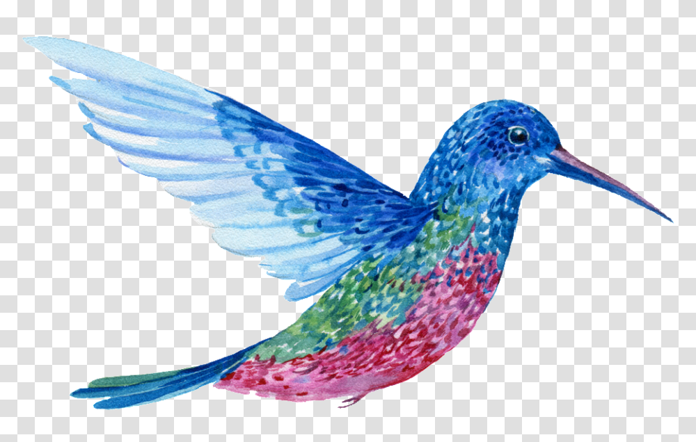 Hand Painted A Flying Colorful Bird Colorful Flying Birds, Animal, Bluebird, Jay, Hummingbird Transparent Png