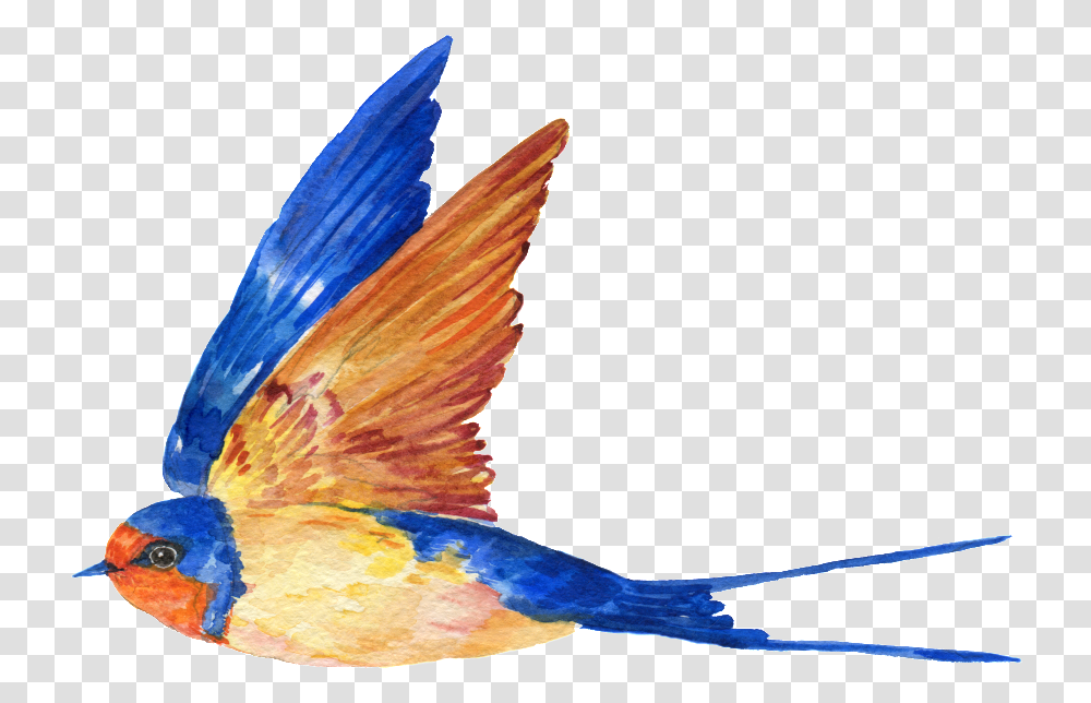 Hand Painted A Free Flying Bird Painted Bird Flying, Bluebird, Animal, Jay, Blue Jay Transparent Png