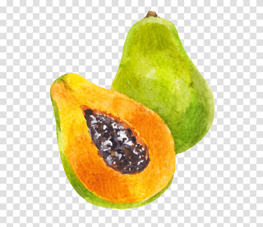 Hand Painted A Half Papaya Portable Network Graphics, Plant, Fruit, Food, Orange Transparent Png