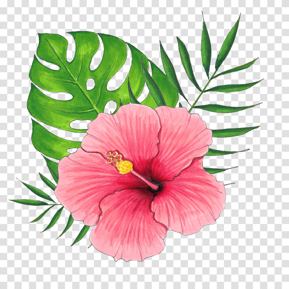 Hand Painted A Hibiscus Flower Free Download, Plant, Blossom, Leaf, Honey Bee Transparent Png
