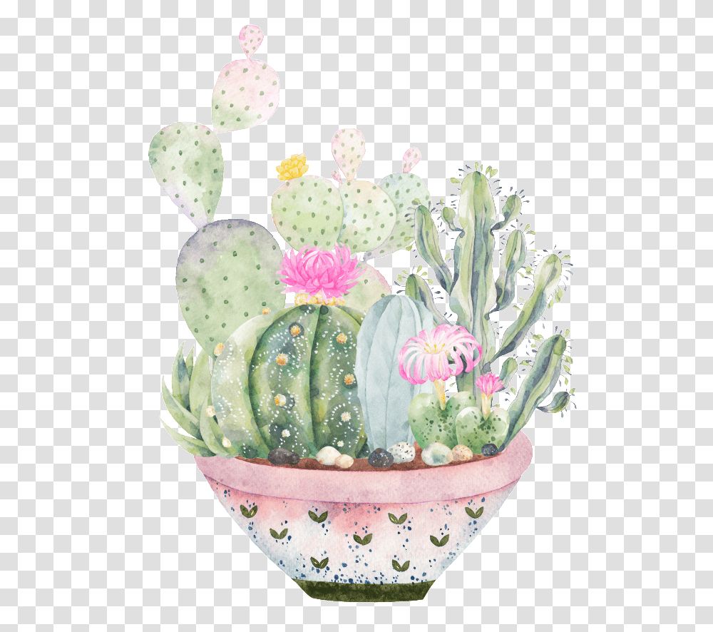 Hand Painted A Large Plate Of Plants Succulents Clipart, Cactus, Birthday Cake, Dessert, Food Transparent Png