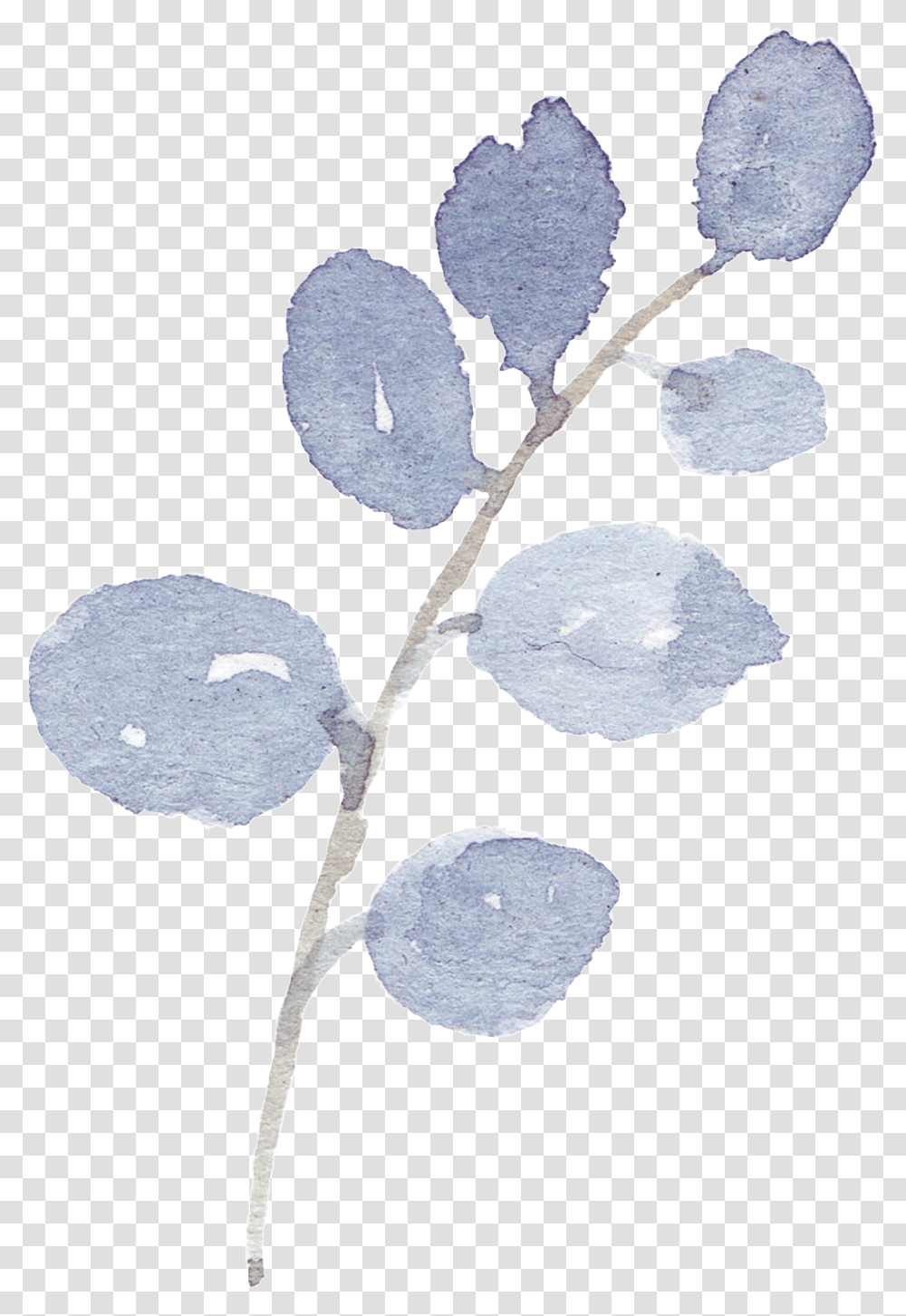 Hand Painted A Purple Branch Watercolor Free, Nature, Outdoors, Ice, Plant Transparent Png