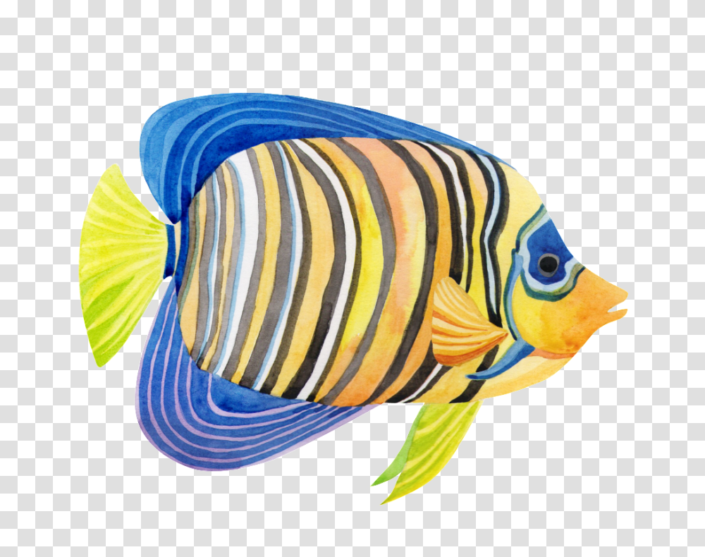 Hand Painted A Striped Fish Free Download, Angelfish, Sea Life, Animal, Surgeonfish Transparent Png
