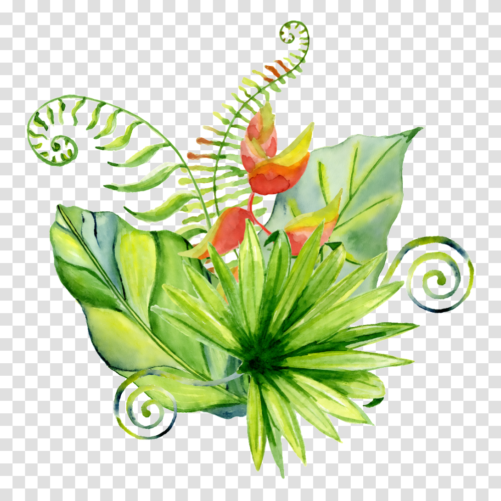 Hand Painted A Variety Of Different Leaves Free, Plant, Flower Transparent Png