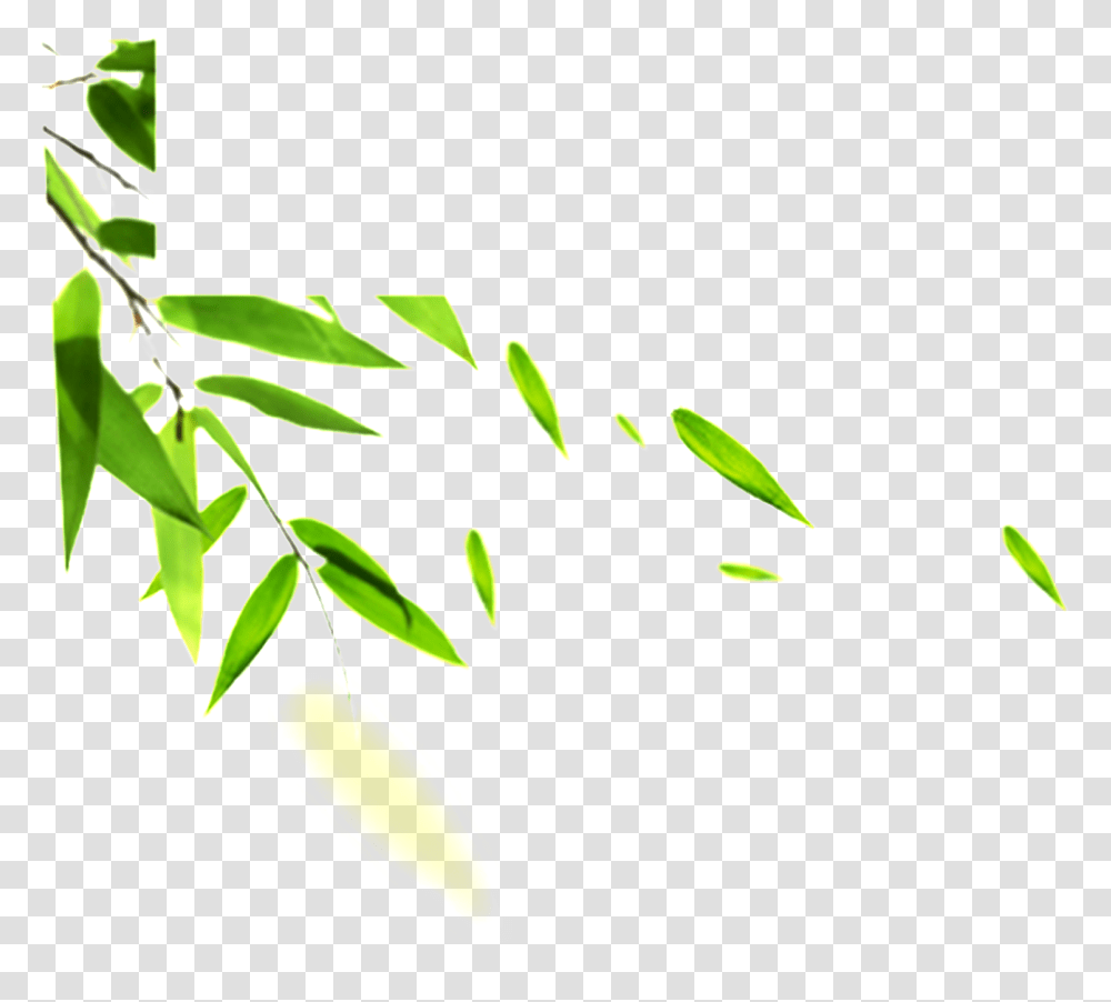 Hand Painted Bamboo Leaves Hd Efectos Viento, Plant, Leaf, Vegetation, Flower Transparent Png