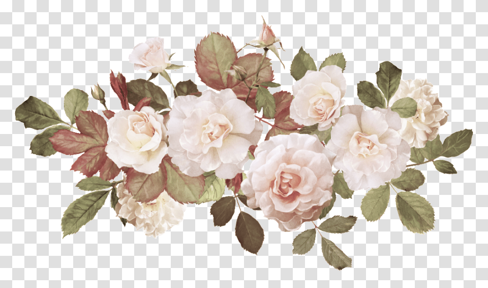 Hand Painted Beautiful Flower Free Vector Wedding, Plant, Blossom, Rose, Petal Transparent Png