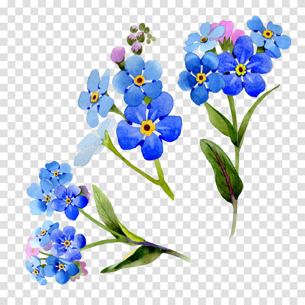 Hand Painted Blue Flower Floral Free, Plant, Blossom Transparent Png