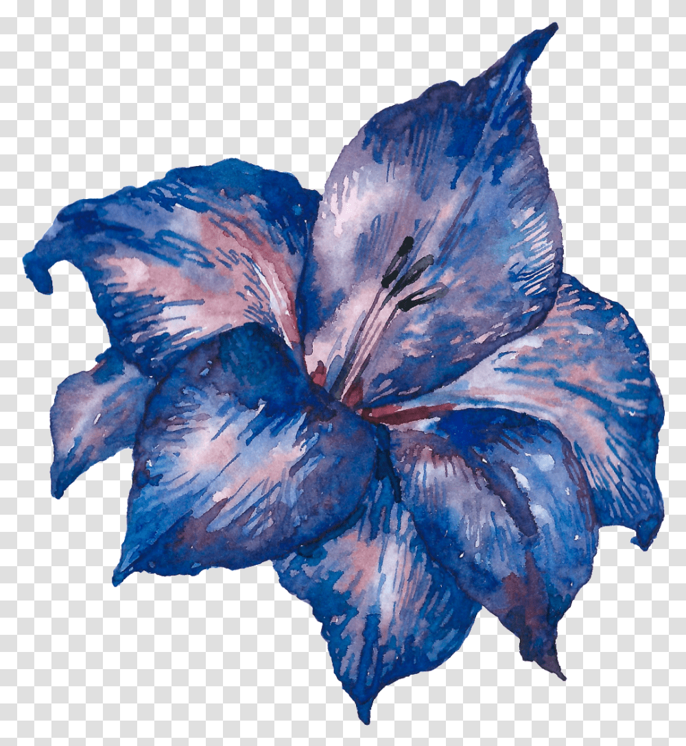 Hand Painted Blue Purple Flowers Chinese Hibiscus, Plant, Iris, Blossom, Petal Transparent Png