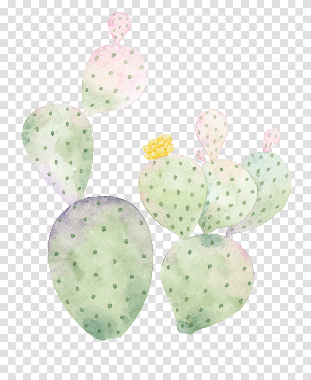 Hand Painted Cactus Barbary Fig, Plant, Fungus, Food, Photography Transparent Png