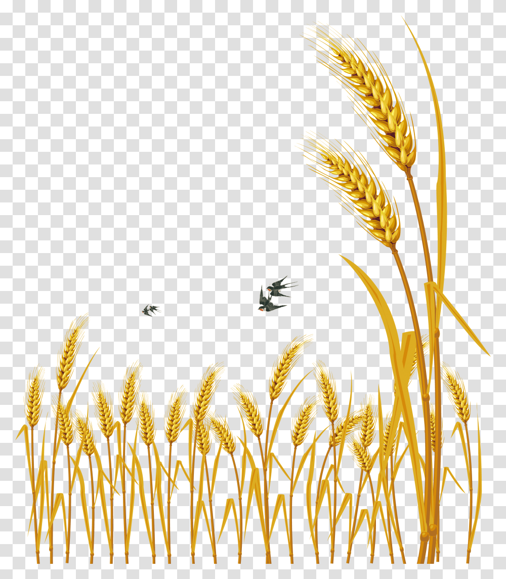Hand Painted Cartoon Delicate Wheat Decorative Weat Free Vector Download, Grass, Plant, Lawn, Vegetation Transparent Png
