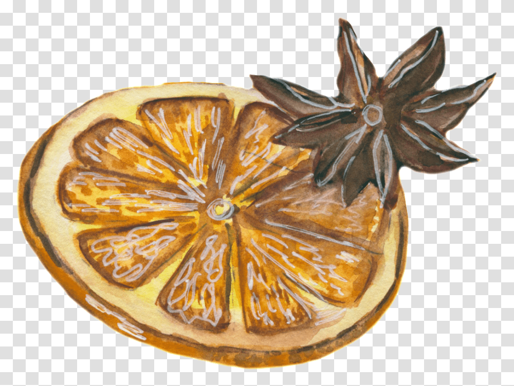 Hand Painted Cartoon Realistic Lemon Slice, Citrus Fruit, Plant, Food, Lobster Transparent Png
